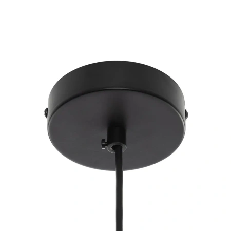 Подвесной светильник Citilux ORTON CL202210 G9 CITILUX