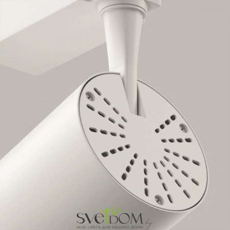 TR003-1-10W3K-S-W Maytoni