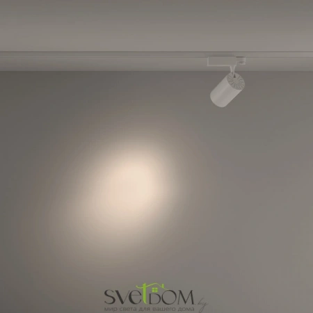 TR029-3-26W4K-S-W Maytoni