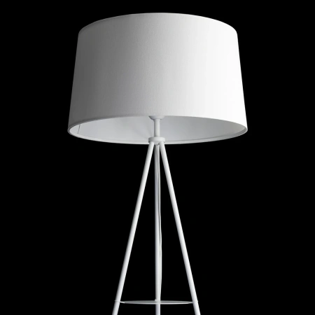 Торшер Citilux Рейнер CL806020 CITILUX