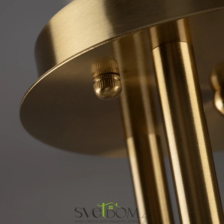 Потолочные светильники Freya FR5443CL-06BS от Магазина Svetdom.by