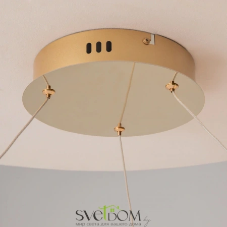 Подвесные светильники Maytoni MOD081PL-L50G3K от Магазина Svetdom.by