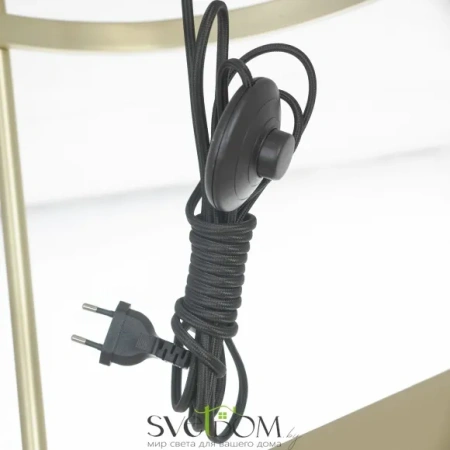 Торшер Lussole Seattle LSP-0631 E27 Lussole