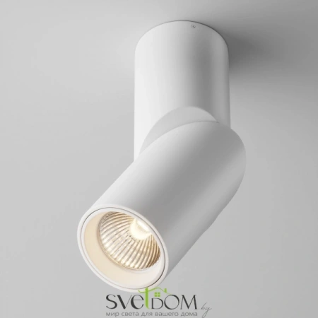 Потолочные светильники Maytoni C027CL-L10W от Магазина Svetdom.by