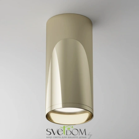 Потолочные светильники Maytoni C010CL-01G от Магазина Svetdom.by