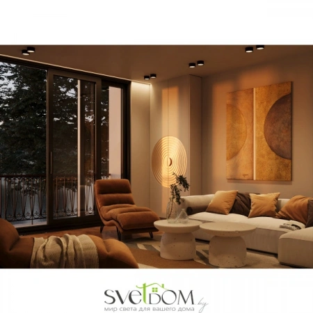 Потолочные светильники Maytoni C091CL-12W3K-B от Магазина Svetdom.by