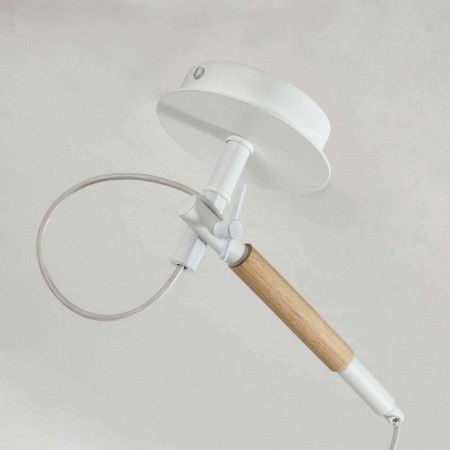 Настенно-потолочные светильники Favourite 3005-1P от Магазина Svetdom.by