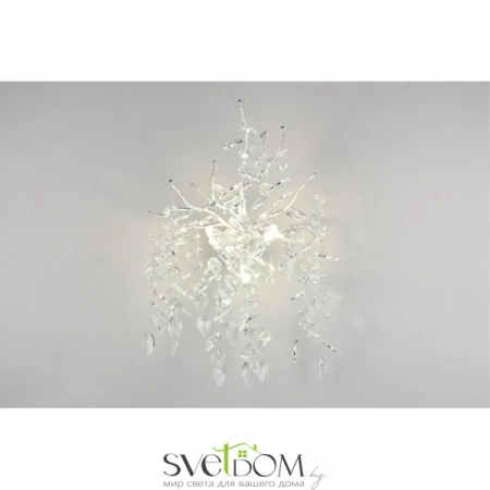 Настенные светильники APL.847.11.03 Aployt | Svetdom.by