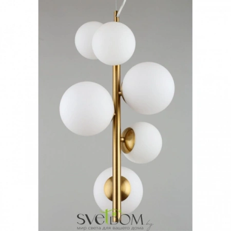 Подвесные светильники Aployt APL.314.06.06 от Магазина Svetdom.by