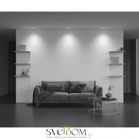 Встраиваемые светильники Maytoni DL033-2-02W от Магазина Svetdom.by