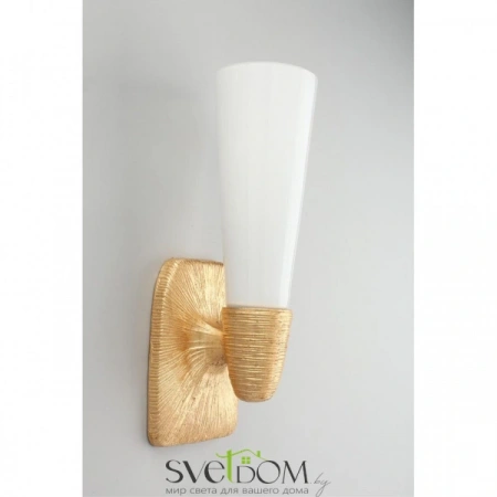 Настенные светильники APL.800.01.01 Aployt | Svetdom.by