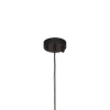 Favourite 1441-1P