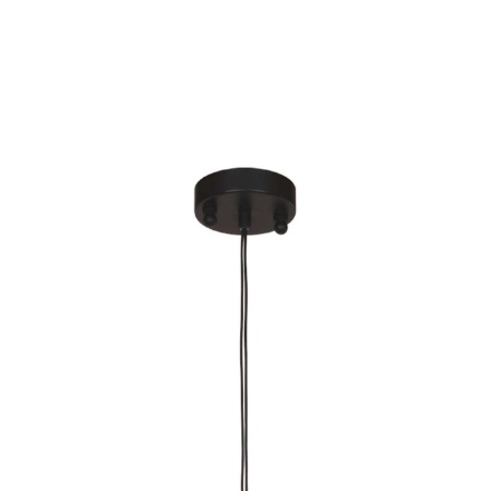 Favourite 1441-1P