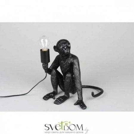 APL.309.24.01 Aployt