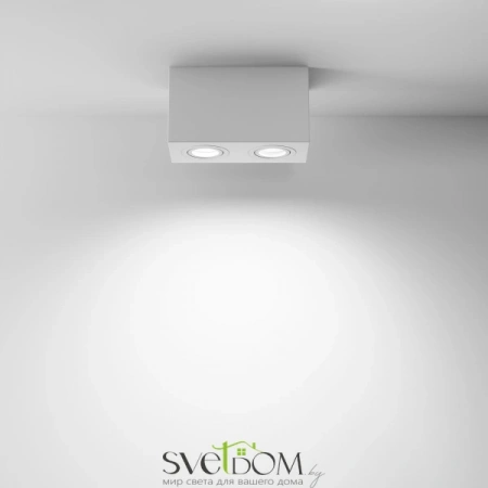 Потолочные светильники Maytoni C017CL-02W от Магазина Svetdom.by