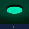 Citilux Купер CL72470G1 LED RGB Светильник с пультом Чёрный CITILUX