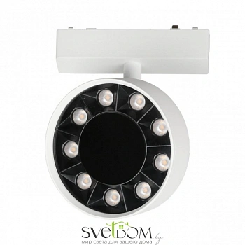 Светильник трековый Aployt  APL.0119.10.09