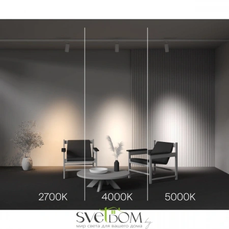 TR197-3-30WCCT-M-W Maytoni