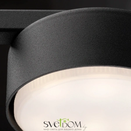 Потолочные светильники Freya FR5363CL-01B от Магазина Svetdom.by