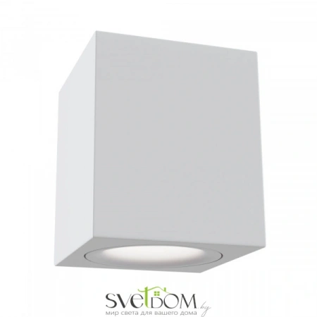 Потолочные светильники Maytoni C013CL-01W от Магазина Svetdom.by