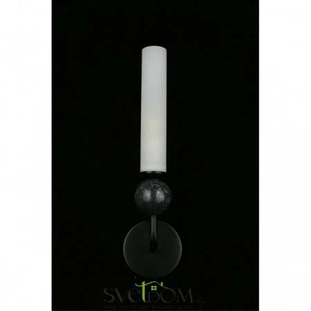 Настенные светильники APL.339.01.01 Aployt | Svetdom.by