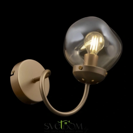 Настенные светильники FR8017WL-01MG Freya | Svetdom.by