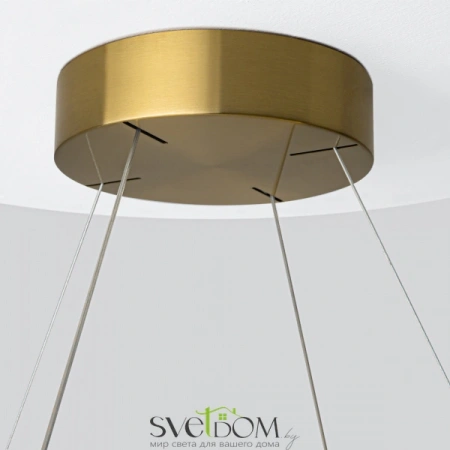 Подвесные светильники Maytoni MOD173PL-L60BS3K от Магазина Svetdom.by