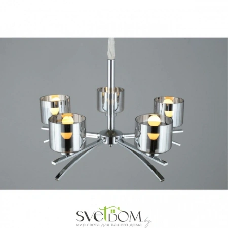 Люстры подвесныеOML-55803-05 Omnilux | Svetdom.by