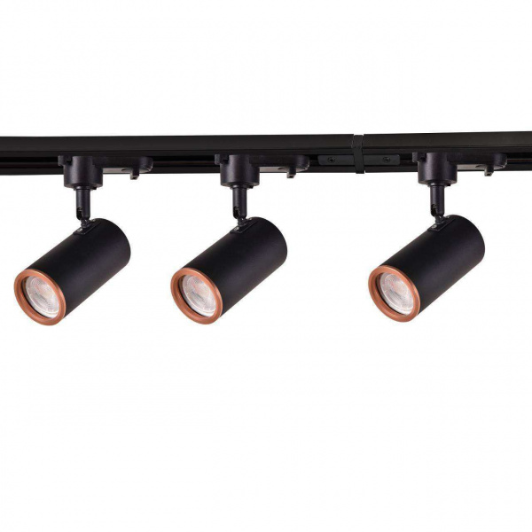 Потолочные светильники Favourite 4022-3U от Магазина Svetdom.by