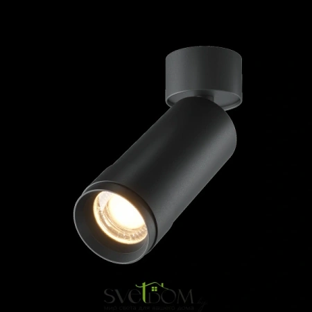 Потолочные светильники Maytoni C055CL-L12W3K-Z-B от Магазина Svetdom.by