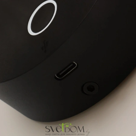 Настенные светильники C081WL-L3BBS3K Maytoni | Svetdom.by