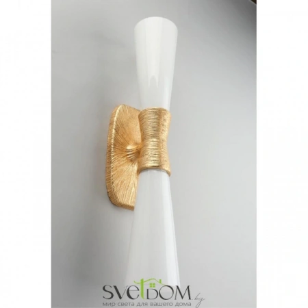 Настенные светильники APL.800.01.02 Aployt | Svetdom.by