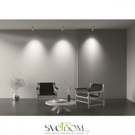 Потолочные светильники Maytoni C053CL-L12W4K-W-W от Магазина Svetdom.by