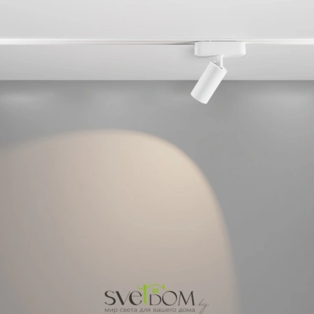 TR103-1-12W4K-M-W Maytoni