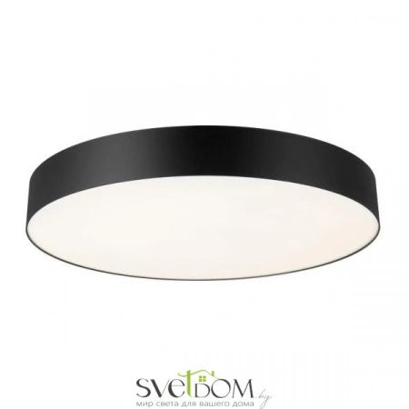 Накладные светильники CITILUX CL755491 от Магазина Svetdom.by