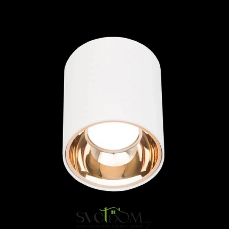 Накладные светильники CITILUX CL7440103 от Магазина Svetdom.by