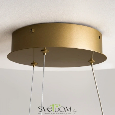 Подвесные светильники Maytoni MOD241PL-L60BSK от Магазина Svetdom.by