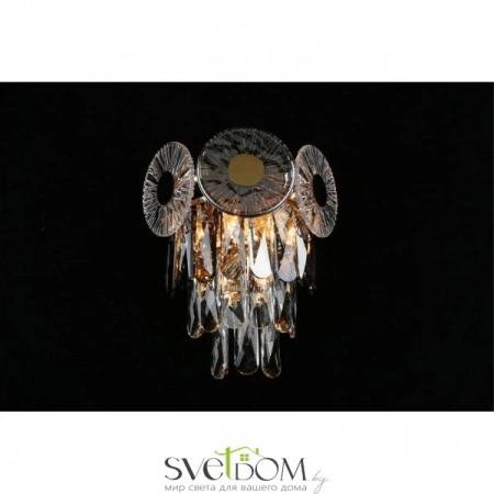 Настенные светильники APL.769.01.02 Aployt | Svetdom.by