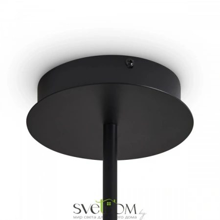 Потолочные светильники Freya FR5541CL-L30B от Магазина Svetdom.by