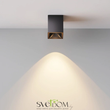 Потолочные светильники Maytoni C065CL-8W3K-SQ-B от Магазина Svetdom.by