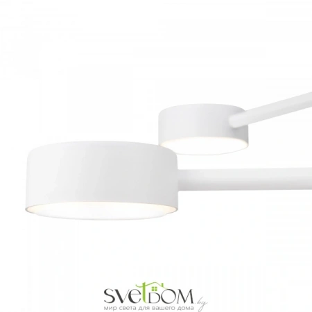 Потолочные светильники Freya FR5363CL-04W от Магазина Svetdom.by