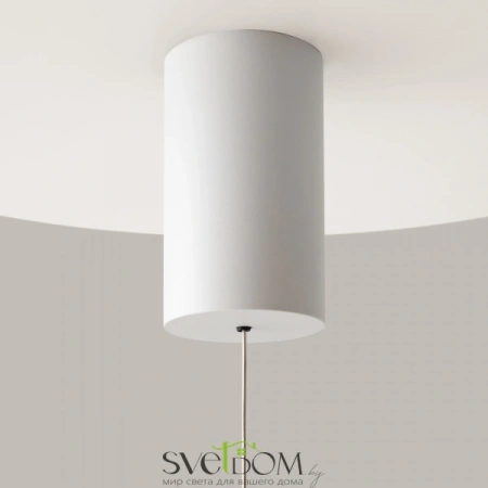 Подвесные светильники Maytoni P101PL-L500-12W3K-W от Магазина Svetdom.by