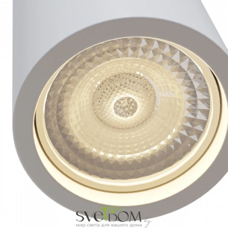 Потолочные светильники Maytoni C004CW-01W от Магазина Svetdom.by