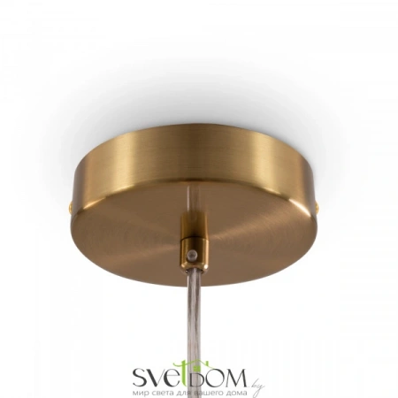 Подвесные светильники Freya FR5366PL-01BS от Магазина Svetdom.by