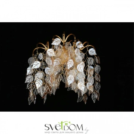 Настенные светильники APL.850.01.03 Aployt | Svetdom.by