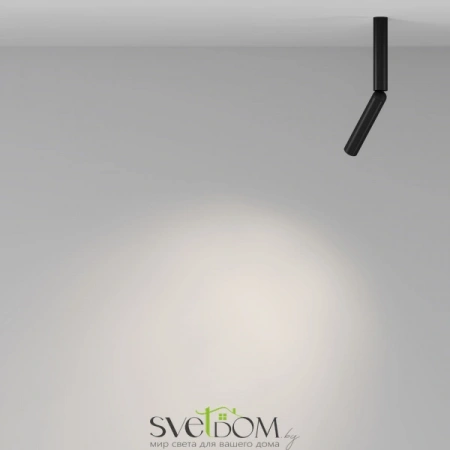 Потолочные светильники Maytoni C142CL-6W4K-B от Магазина Svetdom.by