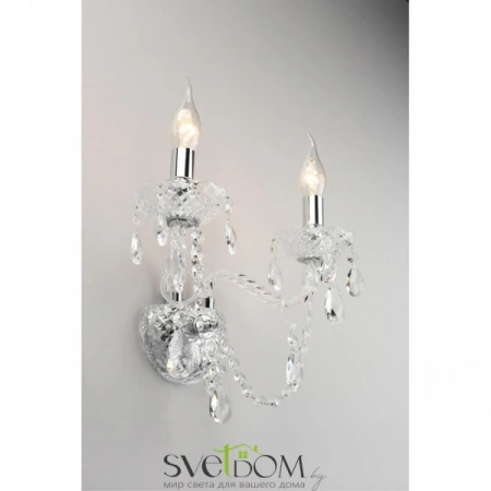 Настенные светильники APL.755.01.02 Aployt | Svetdom.by