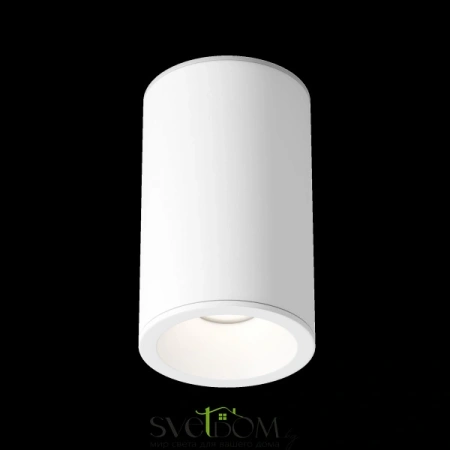 Потолочные светильники Maytoni C029CL-01-S-W от Магазина Svetdom.by