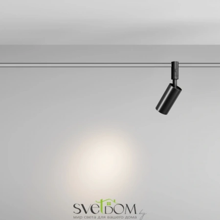 TR201-1-10W3K-M-B Maytoni