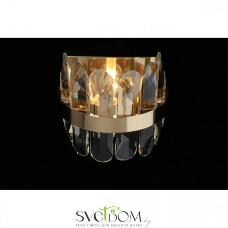 Настенные светильники APL.749.01.01 Aployt | Svetdom.by